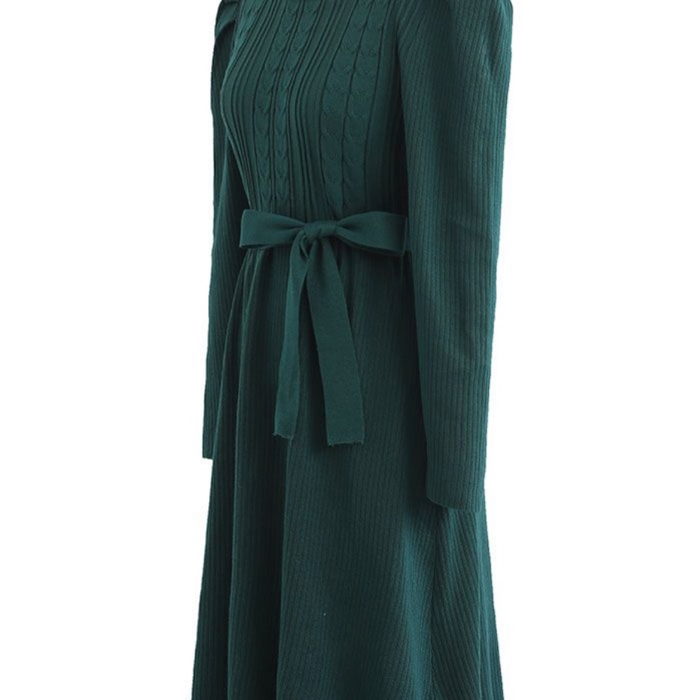 HOST PICK⭐️BRAID KNIT GIGOT SLEEVE MIDI DRESS IN DARK GREEN - Picture 10 of 11